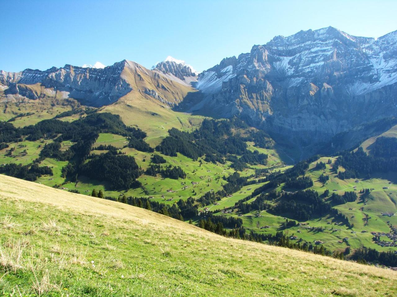 Appartment Andrea Adelboden Exterior foto