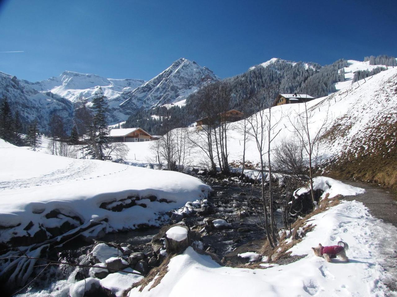 Appartment Andrea Adelboden Exterior foto