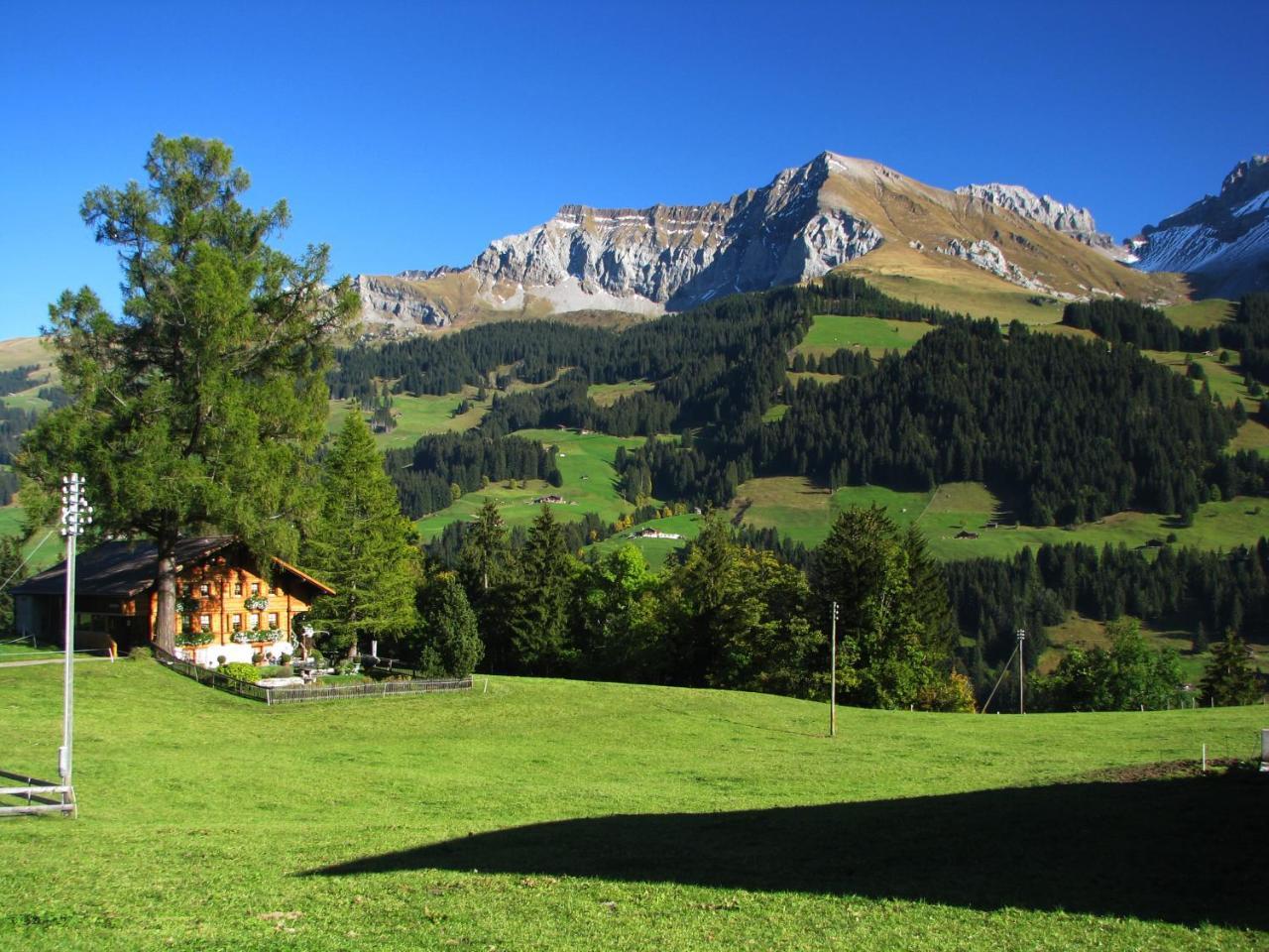Appartment Andrea Adelboden Exterior foto