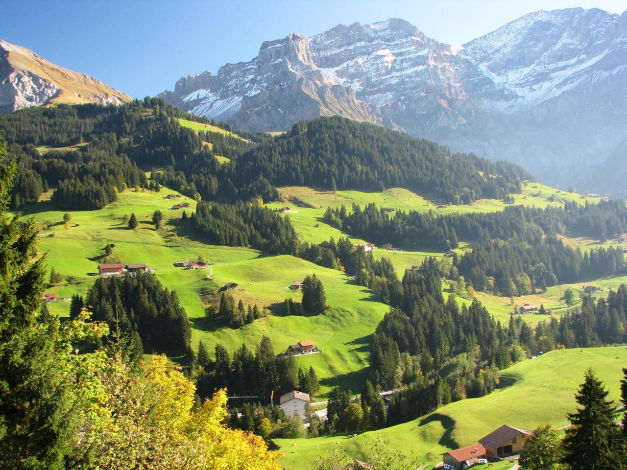 Appartment Andrea Adelboden Exterior foto